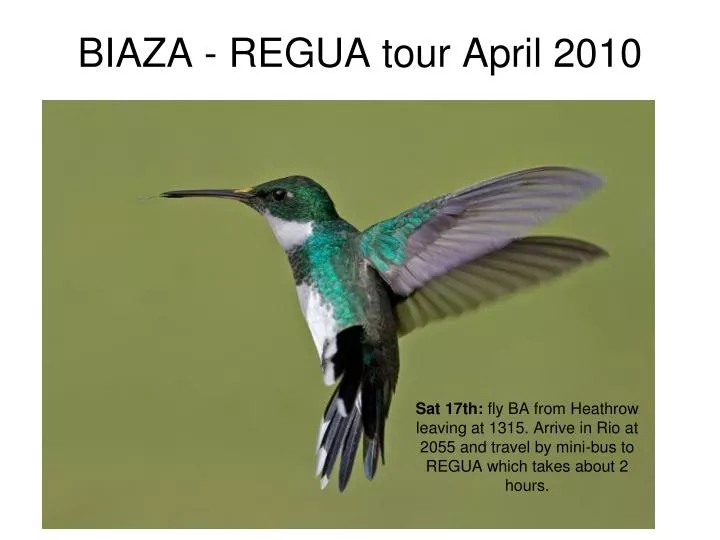 biaza regua tour april 2010