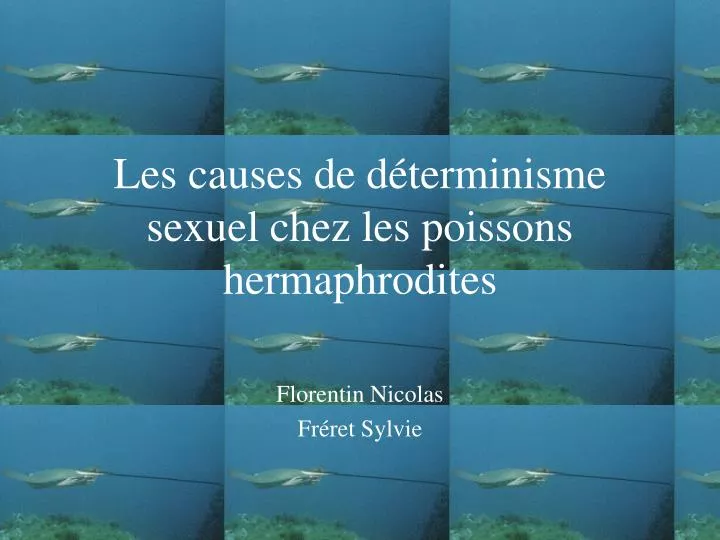 les causes de d terminisme sexuel chez les poissons hermaphrodites