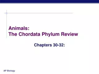 Animals: The Chordata Phylum Review