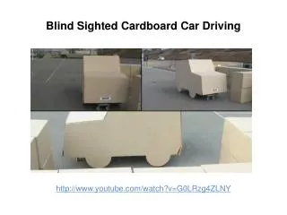 Blind Sighted Cardboard Car Driving