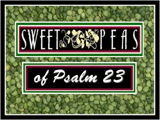 of Psalm 23
