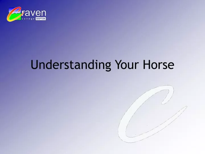 understanding your horse