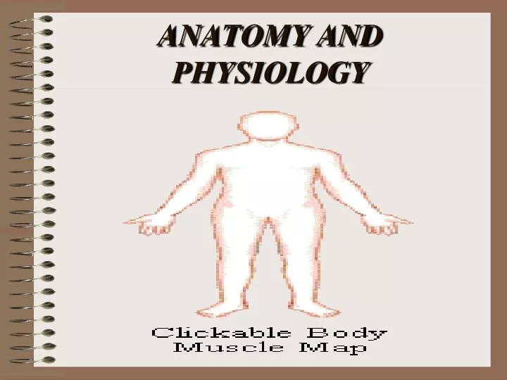 anatomy and physiology