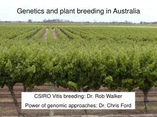 Genetics and plant breeding in Australia