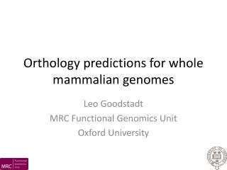 Orthology predictions for whole mammalian genomes