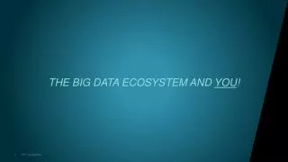 THE BIG DATA ECOSYSTEM AND YOU !