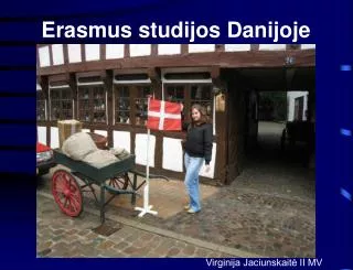 erasmus studijos danijoje