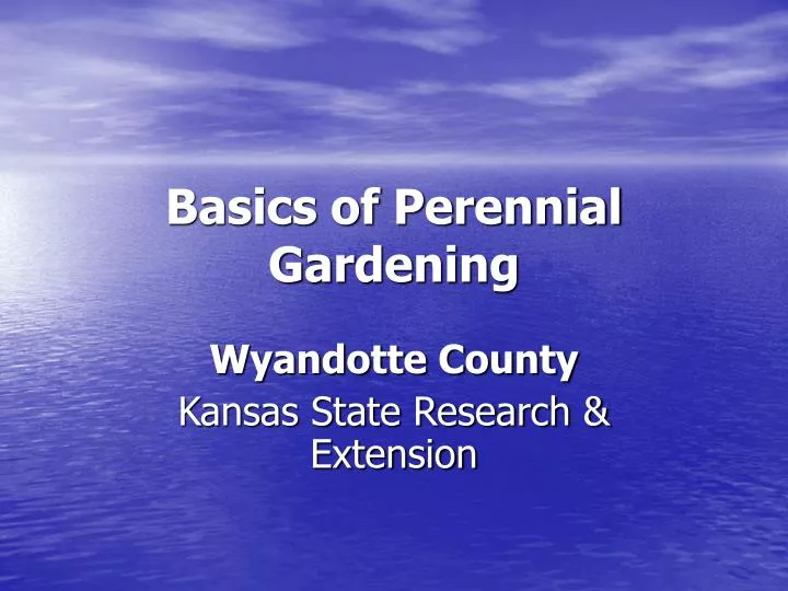 basics of perennial gardening