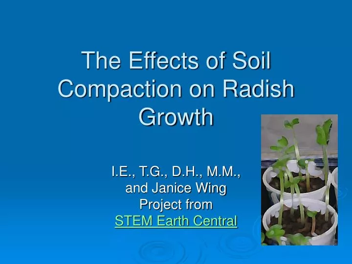the effects of soil compaction on radish growth