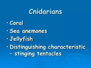 Cnidarians