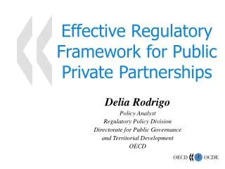 Effective Regulatory Framework for Public Private Partnerships