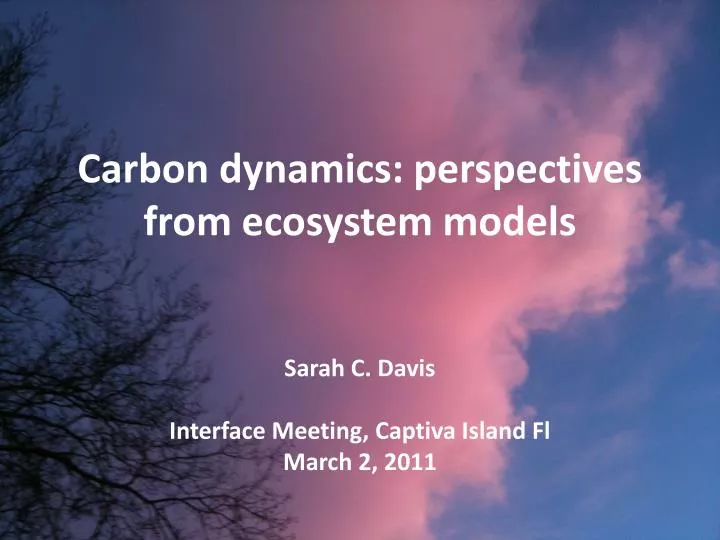 carbon dynamics perspectives from ecosystem models