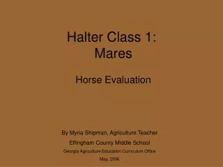 Halter Class 1: Mares