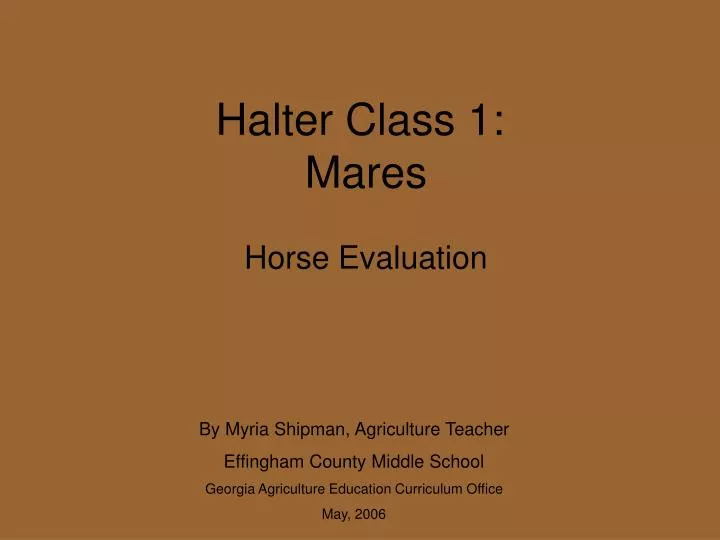 halter class 1 mares