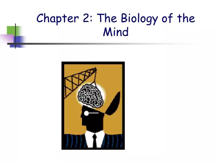 chapter 2 the biology of the mind