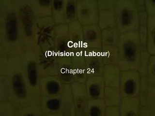 Cells (Division of Labour )