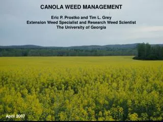 CANOLA WEED MANAGEMENT Eric P. Prostko and Tim L. Grey Extension Weed Specialist and Research Weed Scientist The Univers