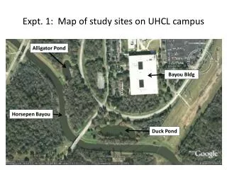 Expt. 1: Map of study sites on UHCL campus