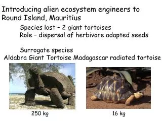 Introducing alien ecosystem engineers to Round Island, Mauritius