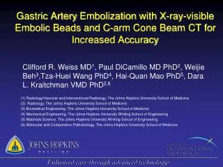 Gastric Artery Embolization with X-ray-visible Embolic Beads and C-arm Cone Beam CT for Increased Accuracy