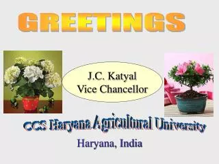 CCS Haryana Agricultural University