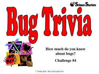 How much do you know about bugs? Challenge #4
