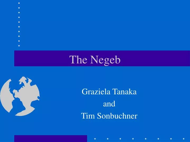 the negeb