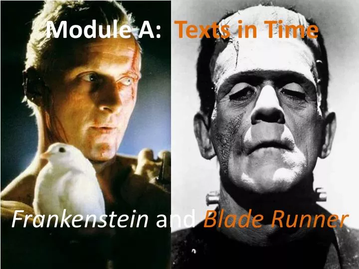 module a texts in time