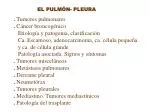 EL PULMÓN- PLEURA - slide 1