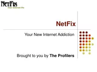 NetFix