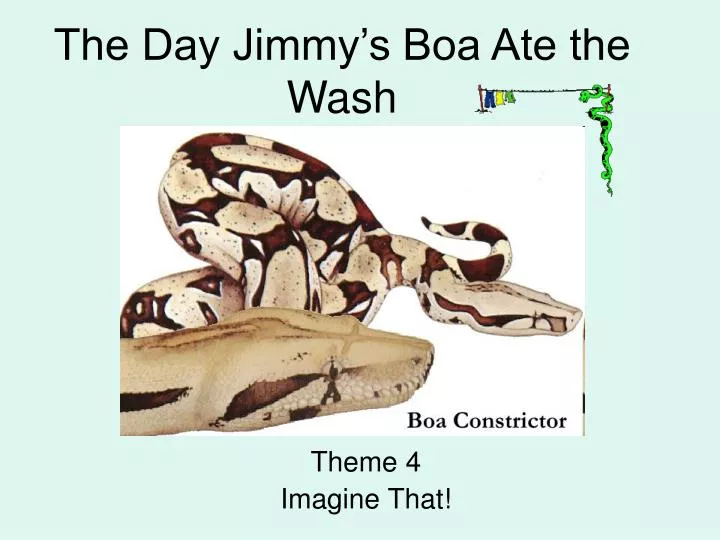 the day jimmy s boa ate the wash