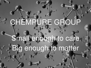 CHEMPURE GROUP