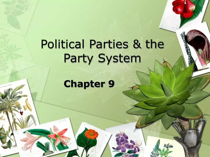 political parties the party system