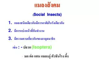 แมลงสังคม ( Social Insects)