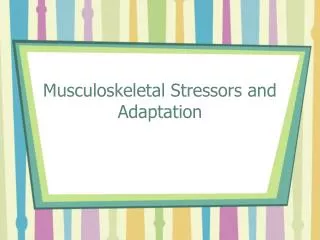 Musculoskeletal Stressors and Adaptation