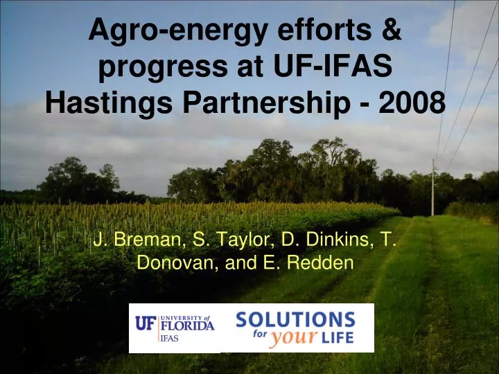 agro energy efforts progress at uf ifas hastings partnership 2008