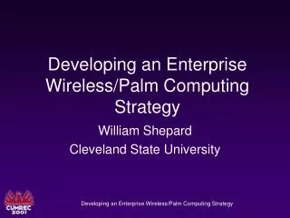 Developing an Enterprise Wireless/Palm Computing Strategy