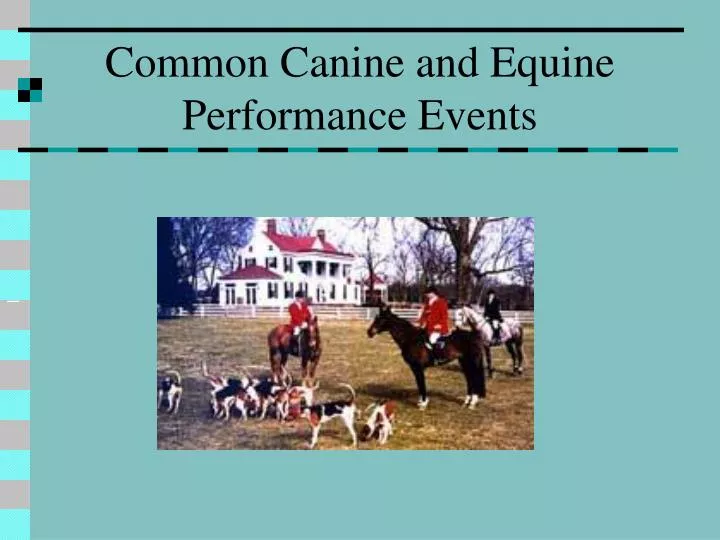 common canine and equine performance events
