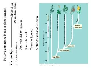 Relative dominance in major plant lineages