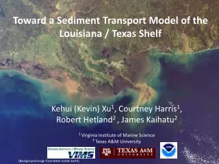 Toward a Sediment Transport Model of the Louisiana / Texas Shelf