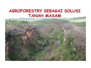 AGROFORESTRY SEBAGAI SOLUSI TANAH MASAM