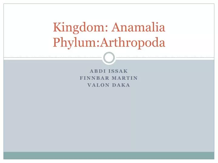 kingdom anamalia phylum arthropoda