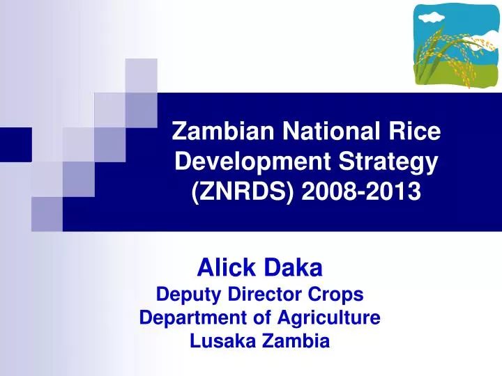 zambian national rice development strategy znrds 2008 2013