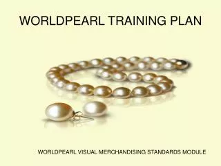 WORLDPEARL TRAINING PLAN