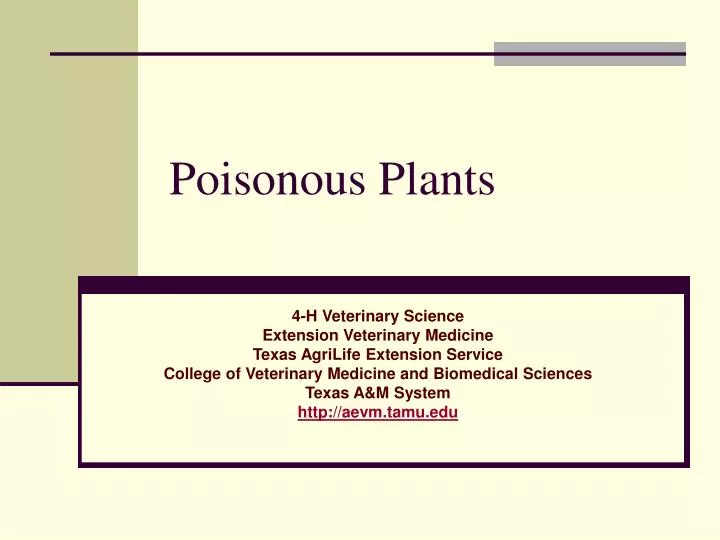 poisonous plants