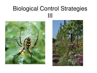 Biological Control Strategies III