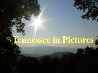 Tennessee in Pictures