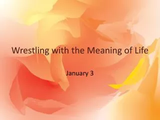 Wrestling with the Meaning of Life