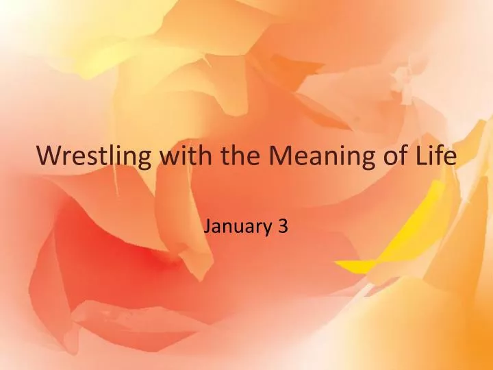 wrestling with the meaning of life