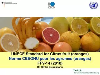 UNECE Standard for Citrus fruit (oranges) Norme CEEONU pour les agrumes (oranges) FFV-14 (2010) Dr. Ulrike Bickelmann